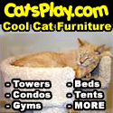 Catsplay.com 