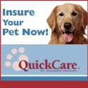 Pet Insurance Plans