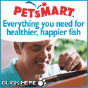 Petsmart for Fish