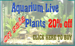Aquarium products 